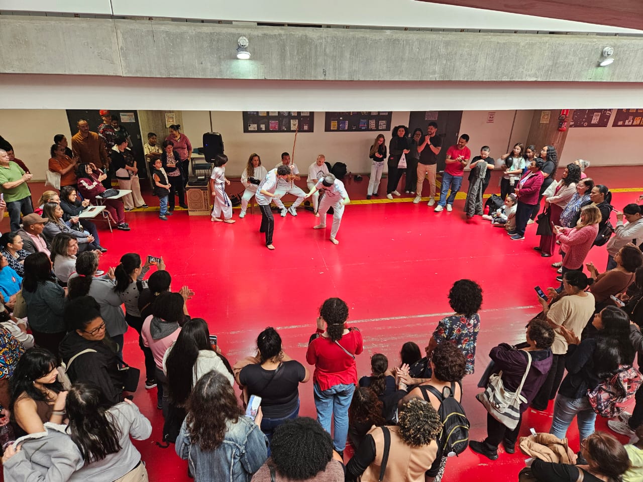 Roda de Capoeira