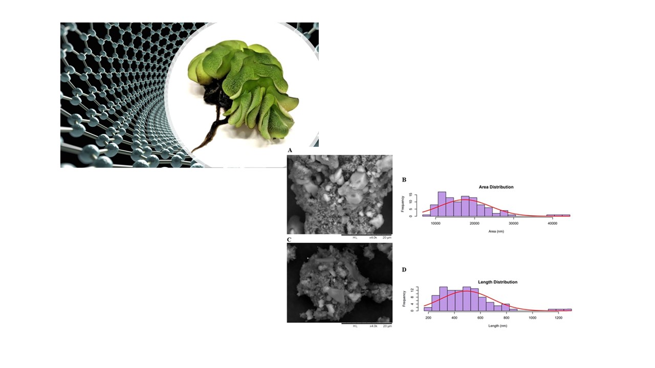 artigos 04 imagem interna