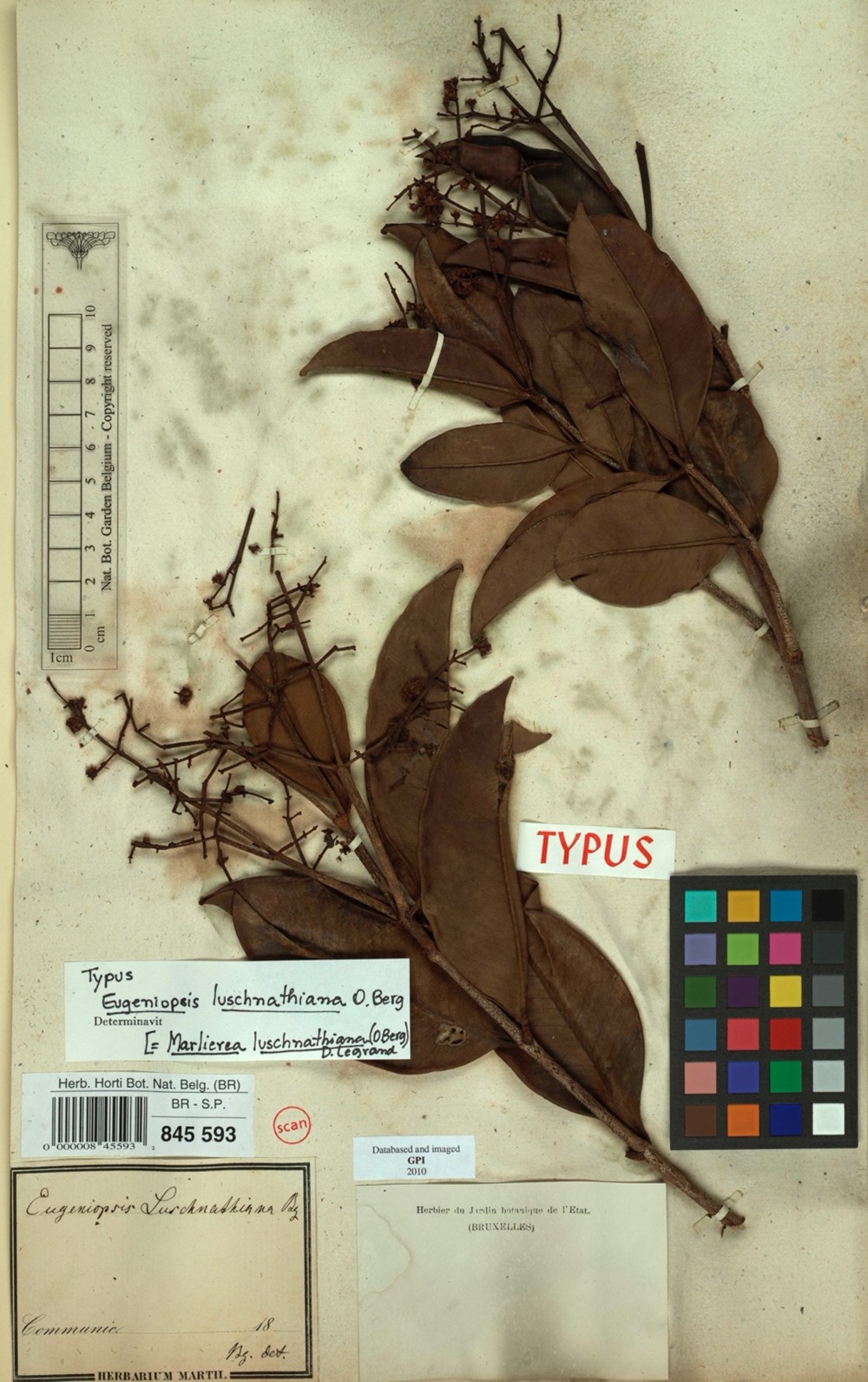 figura1 biodiversidade pesquisabc40