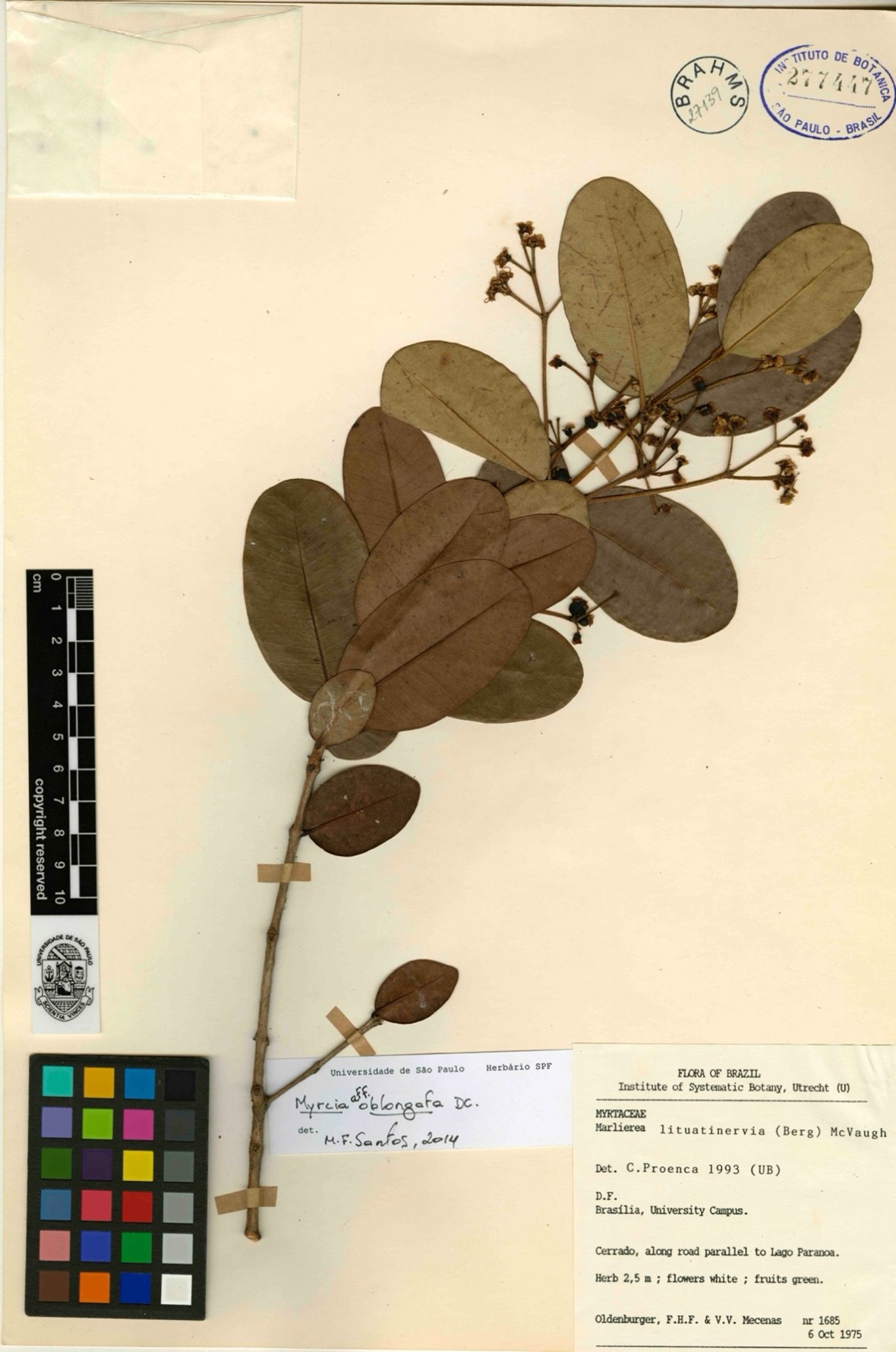 figura4 biodiversidade pesquisabc40