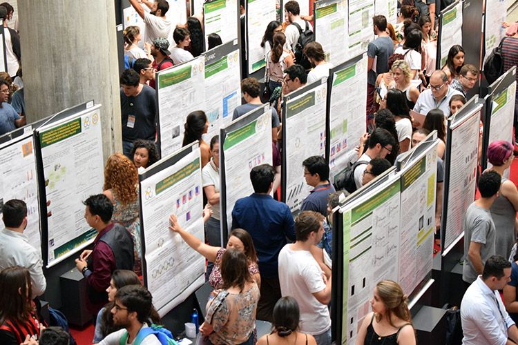 Foto da galeria de imagens: sem descrição informada.